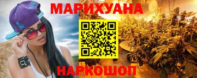 сатива Кингисепп