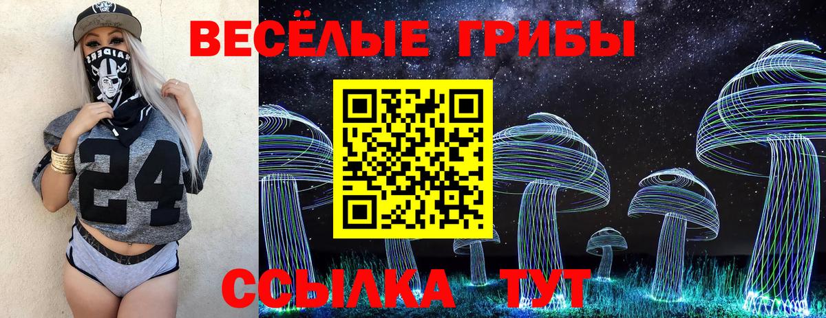 Галлюциногенные грибы Psilocybine cubensis Королёв