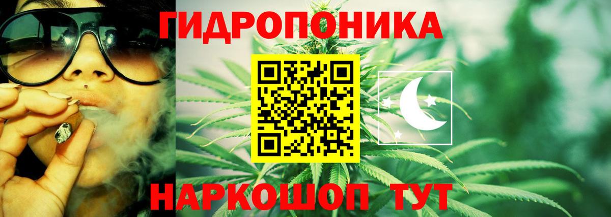 МАРИХУАНА конопля Королёв
